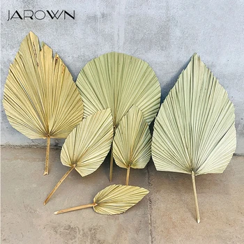 Пальмовый веерный лист JAROWN, сушеный цветок, пальмовый лист, окно для приема гостей, художественное украшение для вечеринки, настенное украшение, свадебная арка