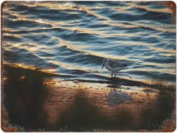 Настенное искусство Пляжной Чайки - Винтажный Металлический Плакат С Вывеской Морской Птицы, Премиальное Настенное Художественное Украшение для Гостиной, Офиса,