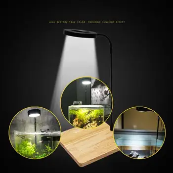 Светильник для комнатных растений мощностью 10 Вт с деревянной доской, USB Ландшафтная лампа для аквариума с рыбками